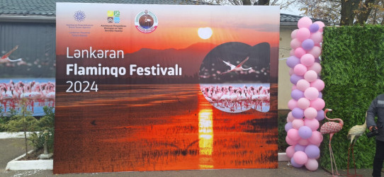 Lənkəranda "II Flaminqo Festivalı" keçirilib