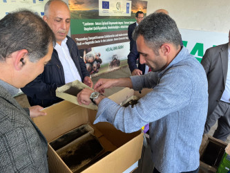 Lənkəranda 2026-cı il barama mövsümü üçün kümçülərə 200 qutu ipəkqurdu toxumu paylanılıb