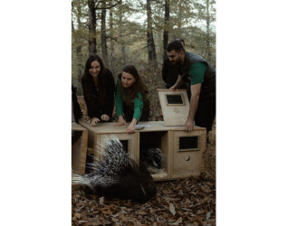 Heydər Əliyev Fondunun vitse-prezidenti, IDEA İctimai Birliyinin təsisçisi və rəhbəri Leyla Əliyeva, Bakı Media Mərkəzinin rəhbəri Arzu Əliyeva və Alena Əliyeva Lənkərana səfər çərçivəsində ekoloji aksiyalarda iştirak ediblər