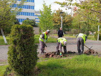 Lənkəranda abadlıq-yenidənqurma işləri davam etdirilir