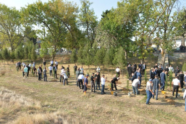 Lənkəranda 27 Sentyabr – Anım Günü ilə bağlı ağacəkmə aksiyası keçirilib
