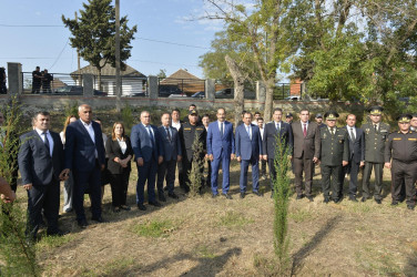 Lənkəranda 27 Sentyabr – Anım Günü ilə bağlı ağacəkmə aksiyası keçirilib
