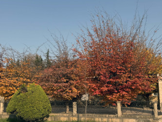 AZƏRTAC bölgə müxbirinin Lənkərandan çəkdiyi fotoları paylaşıb