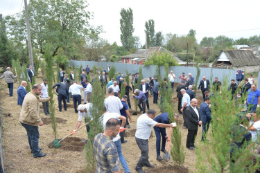 Lənkəranda “Anım Günü”ilə əlaqədar ağacəkmə aksiyası keçirilib