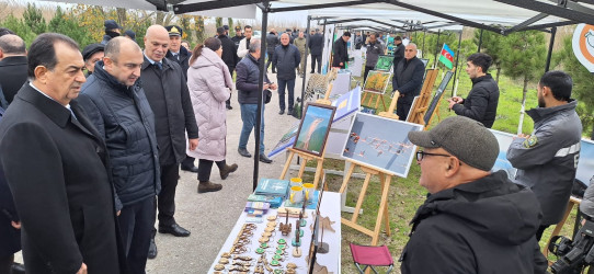 Lənkəranda "II Flaminqo Festivalı" keçirilib