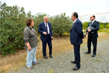 Lənkəranda Dövlət Proqramının icrası çərçivəsində görülən işlər və növbəti hədəflər nəzərdən keçirilib