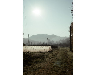 Heydər Əliyev Fondunun vitse-prezidenti, IDEA İctimai Birliyinin təsisçisi və rəhbəri Leyla Əliyeva, Bakı Media Mərkəzinin rəhbəri Arzu Əliyeva və Alena Əliyeva Lənkərana səfər çərçivəsində ekoloji aksiyalarda iştirak ediblər