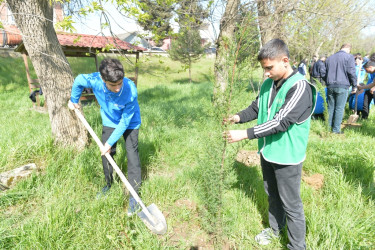 Lənkəranda “Sağlam və dayanıqlı şəhər naminə” adlı növbəti ağacəkmə aksiyası keçirilib