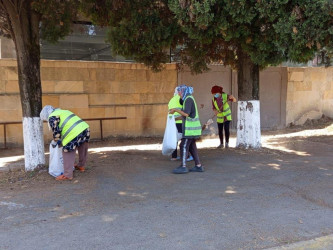 Lənkəranda payız-qış mövsümünə hazırlıqla bağlı abadlıq işləri davam etdirilir