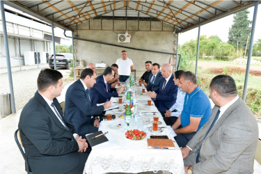 Lənkəranda Dövlət Proqramının icrası çərçivəsində görülən işlər və növbəti hədəflər nəzərdən keçirilib