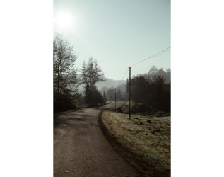 Heydər Əliyev Fondunun vitse-prezidenti, IDEA İctimai Birliyinin təsisçisi və rəhbəri Leyla Əliyeva, Bakı Media Mərkəzinin rəhbəri Arzu Əliyeva və Alena Əliyeva Lənkərana səfər çərçivəsində ekoloji aksiyalarda iştirak ediblər