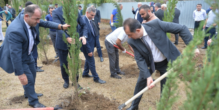 Lənkəranda “Anım Günü”ilə əlaqədar ağacəkmə aksiyası keçirilib