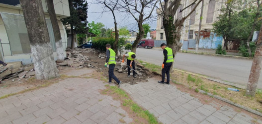 Lənkəranda “Şəhərsalma və memarlıq ili” çərçivəsində abadlıq-yenidənqurma işləri aparılır