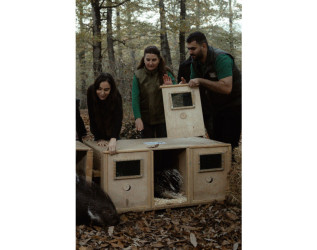 Heydər Əliyev Fondunun vitse-prezidenti, IDEA İctimai Birliyinin təsisçisi və rəhbəri Leyla Əliyeva, Bakı Media Mərkəzinin rəhbəri Arzu Əliyeva və Alena Əliyeva Lənkərana səfər çərçivəsində ekoloji aksiyalarda iştirak ediblər