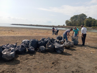 Xəzər dənizinin Lənkəran ərazisindən keçən sahil zolağında növbəti ekoloji aksiya keçirilib