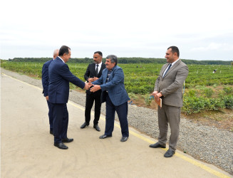 Lənkəranda Dövlət Proqramının icrası çərçivəsində görülən işlər və növbəti hədəflər nəzərdən keçirilib