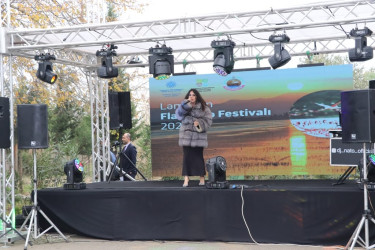 Lənkəranda "II Flaminqo Festivalı" keçirilib