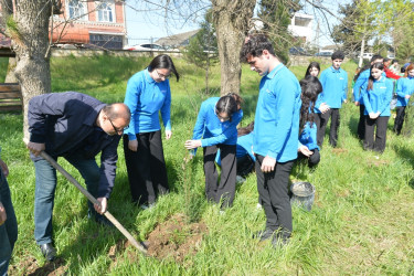 Lənkəranda “Sağlam və dayanıqlı şəhər naminə” adlı növbəti ağacəkmə aksiyası keçirilib