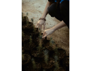 Heydər Əliyev Fondunun vitse-prezidenti, IDEA İctimai Birliyinin təsisçisi və rəhbəri Leyla Əliyeva, Bakı Media Mərkəzinin rəhbəri Arzu Əliyeva və Alena Əliyeva Lənkərana səfər çərçivəsində ekoloji aksiyalarda iştirak ediblər