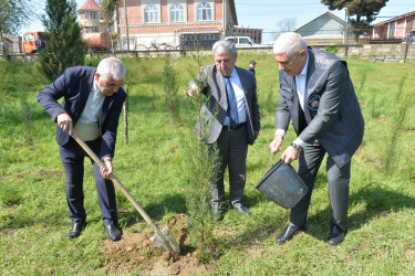 Lənkəranda “Sağlam və dayanıqlı şəhər naminə” adlı növbəti ağacəkmə aksiyası keçirilib
