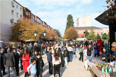 Lənkəranda “Yaşıl Dünya Naminə Ekofestival” keçirilib