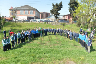 Lənkəranda “Sağlam və dayanıqlı şəhər naminə” adlı növbəti ağacəkmə aksiyası keçirilib