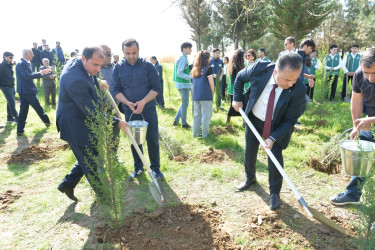 Lənkəranda “Sağlam və dayanıqlı şəhər naminə” adlı növbəti ağacəkmə aksiyası keçirilib