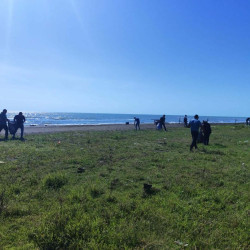 Lənkəranda ictimai çimərliklərdə növbəti ekoloji aksiya keçirilib