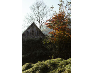 Heydər Əliyev Fondunun vitse-prezidenti, IDEA İctimai Birliyinin təsisçisi və rəhbəri Leyla Əliyeva, Bakı Media Mərkəzinin rəhbəri Arzu Əliyeva və Alena Əliyeva Lənkərana səfər çərçivəsində ekoloji aksiyalarda iştirak ediblər