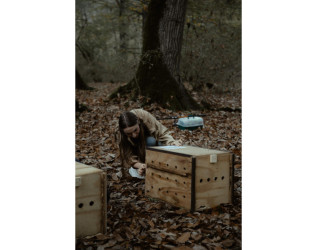 Heydər Əliyev Fondunun vitse-prezidenti, IDEA İctimai Birliyinin təsisçisi və rəhbəri Leyla Əliyeva, Bakı Media Mərkəzinin rəhbəri Arzu Əliyeva və Alena Əliyeva Lənkərana səfər çərçivəsində ekoloji aksiyalarda iştirak ediblər