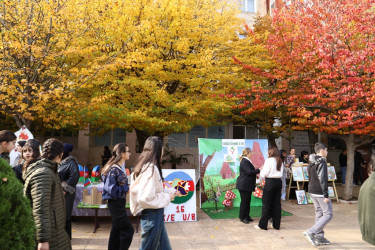 Lənkəranda “Yaşıl Dünya Naminə Ekofestival” keçirilib