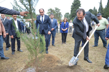 Lənkəranda “Anım Günü”ilə əlaqədar ağacəkmə aksiyası keçirilib