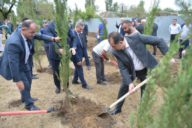 Lənkəranda “Anım Günü”ilə əlaqədar ağacəkmə aksiyası keçirilib