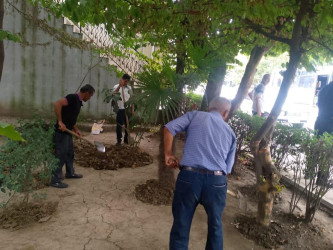 Lənkəranda payız-qış mövsümünə hazırlıqla bağlı abadlıq işləri davam etdirilir
