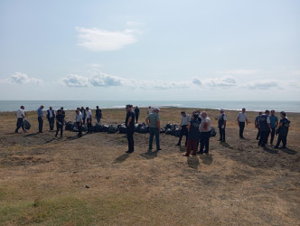 Xəzər dənizinin Lənkəran ərazisindən keçən sahil zolağında növbəti ekoloji aksiya keçirilib