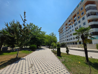 Lənkəranda “Şəhərsalma və memarlıq ili” çərçivəsində aparılan abadlıq işləri davam etdirilir