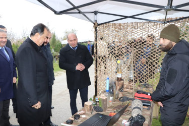 Lənkəranda "II Flaminqo Festivalı" keçirilib