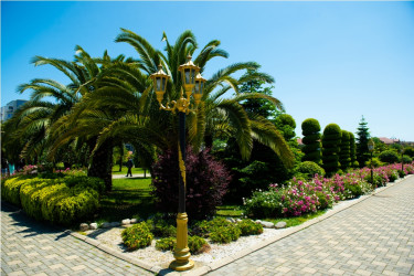 Lənkəran şəhəri, Heydər Əliyev Parkı 2026