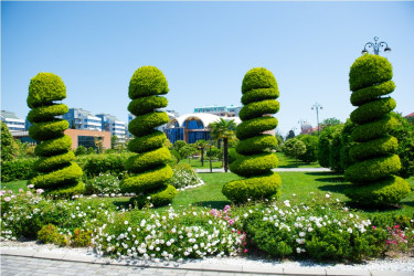 Lənkəran şəhəri, Heydər Əliyev Parkı 2026