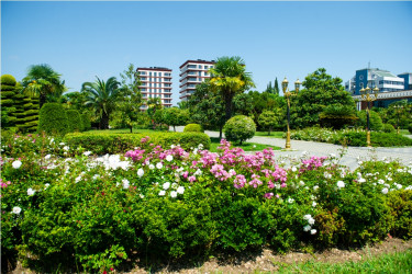 Lənkəran şəhəri, Heydər Əliyev Parkı 2026