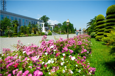 Lənkəran şəhəri, Heydər Əliyev Parkı 2026