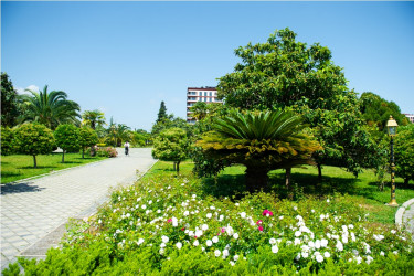 Lənkəran şəhəri, Heydər Əliyev Parkı 2026