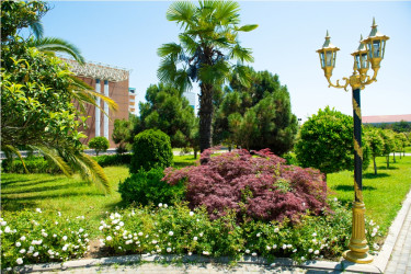 Lənkəran şəhəri, Heydər Əliyev Parkı 2026