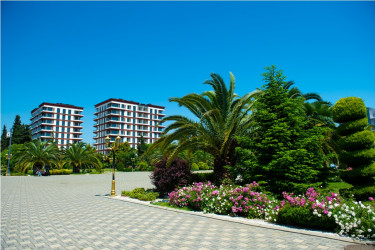 Lənkəran şəhəri, Heydər Əliyev Parkı 2026