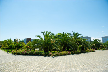 Lənkəran şəhəri, Heydər Əliyev Parkı 2026