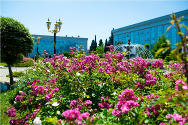 Lənkəran şəhəri, Heydər Əliyev Parkı 2026