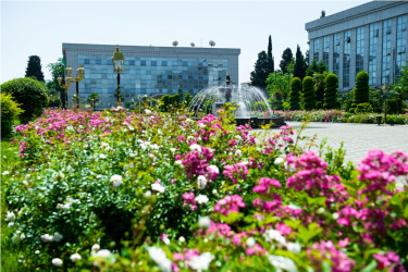 Lənkəran şəhəri, Heydər Əliyev Parkı 2026