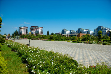 Lənkəran şəhəri, Heydər Əliyev Parkı 2026